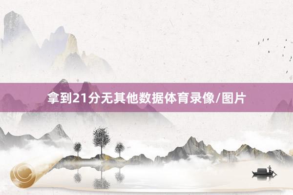 拿到21分无其他数据体育录像/图片
