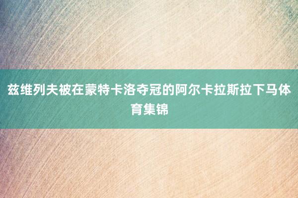 兹维列夫被在蒙特卡洛夺冠的阿尔卡拉斯拉下马体育集锦