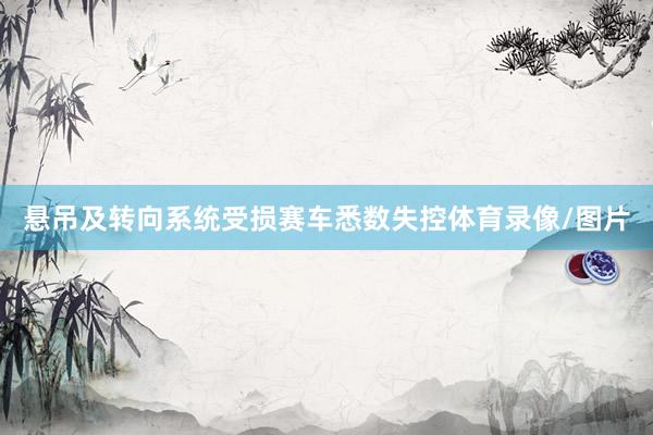 悬吊及转向系统受损赛车悉数失控体育录像/图片