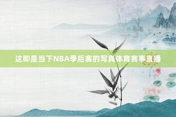 这即是当下NBA季后赛的写真体育赛事直播