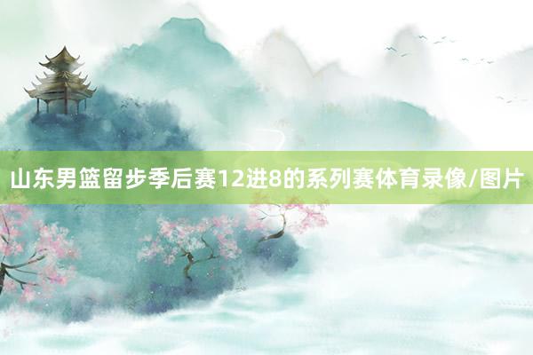山东男篮留步季后赛12进8的系列赛体育录像/图片