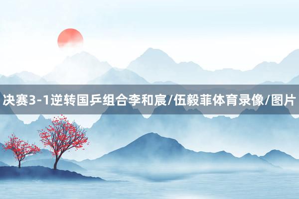 决赛3-1逆转国乒组合李和宸/伍毅菲体育录像/图片