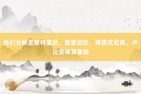 她们分袂是皮特里尼、皆里切拉、博西式尼奥、卢比安体育集锦
