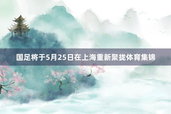 国足将于5月25日在上海重新聚拢体育集锦