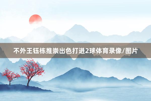 不外王钰栋推崇出色打进2球体育录像/图片