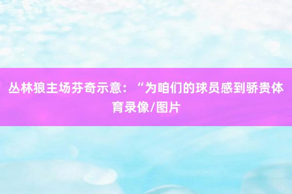 丛林狼主场芬奇示意：“为咱们的球员感到骄贵体育录像/图片
