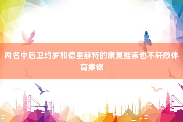 两名中后卫约罗和德里赫特的康复推崇也不轩敞体育集锦