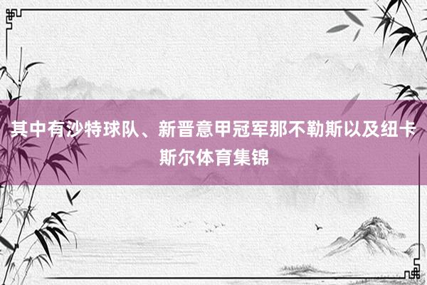 其中有沙特球队、新晋意甲冠军那不勒斯以及纽卡斯尔体育集锦