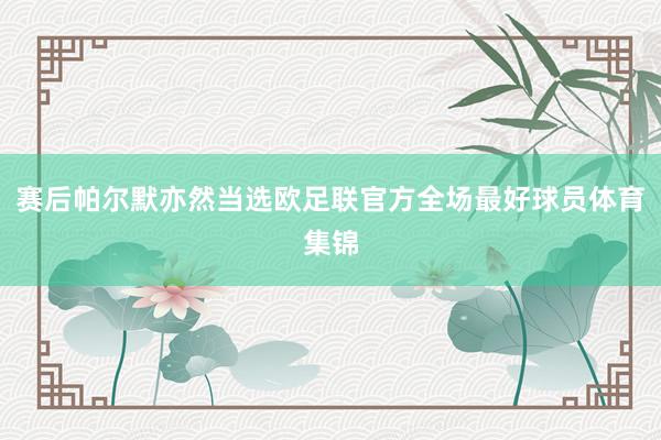 赛后帕尔默亦然当选欧足联官方全场最好球员体育集锦