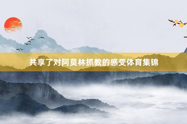 共享了对阿莫林抓教的感受体育集锦