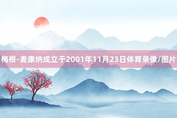 梅根-麦康纳成立于2001年11月23日体育录像/图片