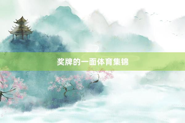 奖牌的一面体育集锦