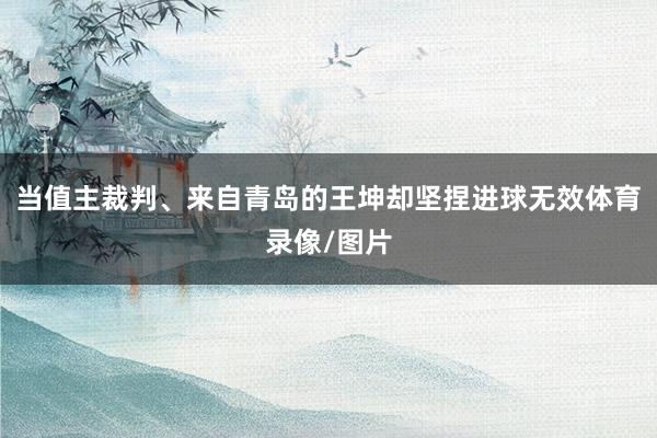 当值主裁判、来自青岛的王坤却坚捏进球无效体育录像/图片