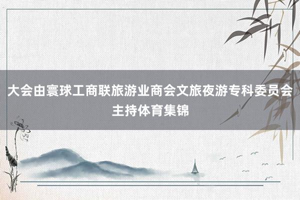 大会由寰球工商联旅游业商会文旅夜游专科委员会主持体育集锦