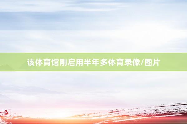该体育馆刚启用半年多体育录像/图片