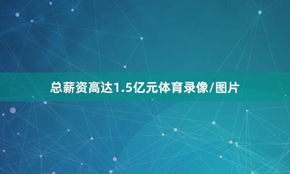 总薪资高达1.5亿元体育录像/图片
