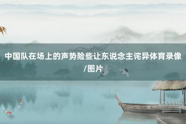 中国队在场上的声势险些让东说念主诧异体育录像/图片