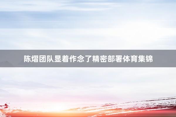 陈熠团队显着作念了精密部署体育集锦