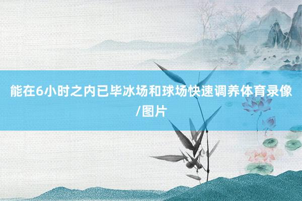 能在6小时之内已毕冰场和球场快速调养体育录像/图片