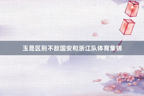 玉昆区别不敌国安和浙江队体育集锦