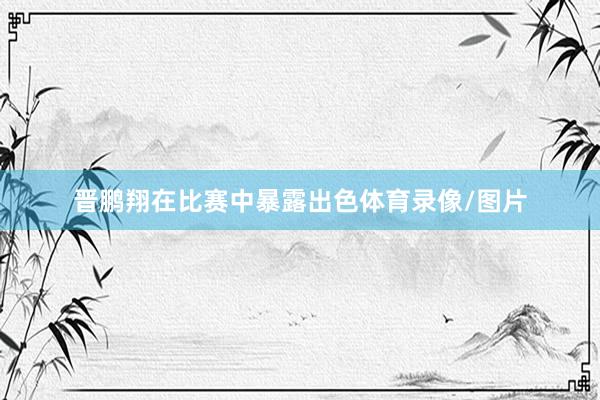 晋鹏翔在比赛中暴露出色体育录像/图片