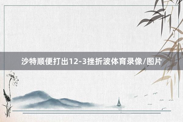 沙特顺便打出12-3挫折波体育录像/图片