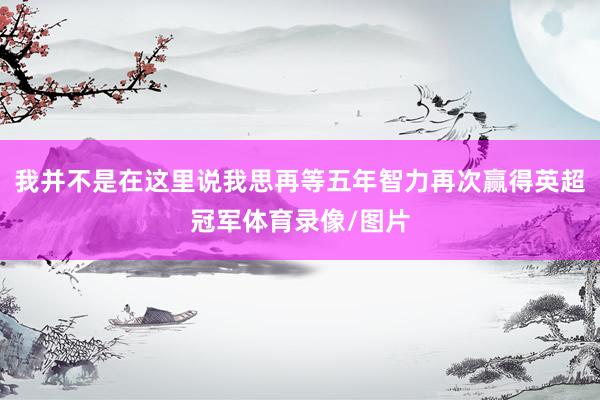 我并不是在这里说我思再等五年智力再次赢得英超冠军体育录像/图片