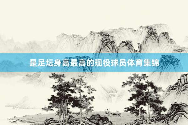 是足坛身高最高的现役球员体育集锦