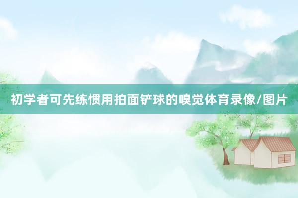 初学者可先练惯用拍面铲球的嗅觉体育录像/图片