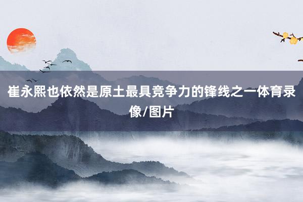 崔永熙也依然是原土最具竞争力的锋线之一体育录像/图片