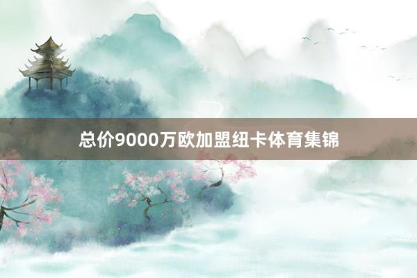 总价9000万欧加盟纽卡体育集锦