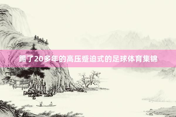 踢了20多年的高压蹙迫式的足球体育集锦