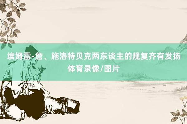 埃姆雷-詹、施洛特贝克两东谈主的规复齐有发扬体育录像/图片