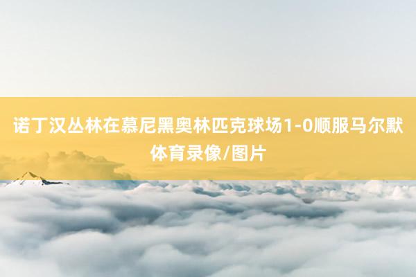 诺丁汉丛林在慕尼黑奥林匹克球场1-0顺服马尔默体育录像/图片