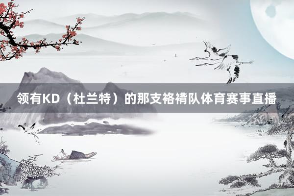 领有KD（杜兰特）的那支袼褙队体育赛事直播