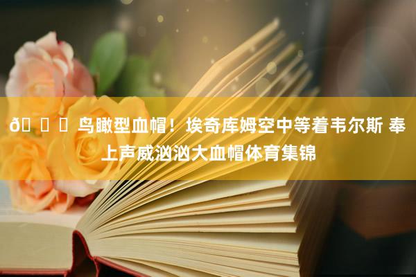 🖐鸟瞰型血帽！埃奇库姆空中等着韦尔斯 奉上声威汹汹大血帽体育集锦