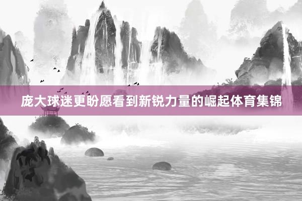 庞大球迷更盼愿看到新锐力量的崛起体育集锦