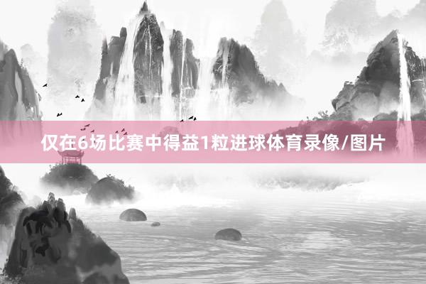 仅在6场比赛中得益1粒进球体育录像/图片