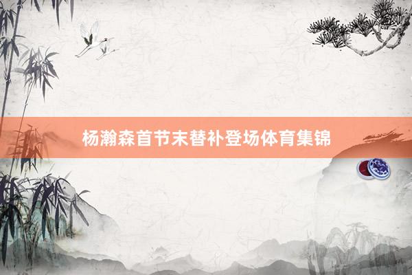 杨瀚森首节末替补登场体育集锦