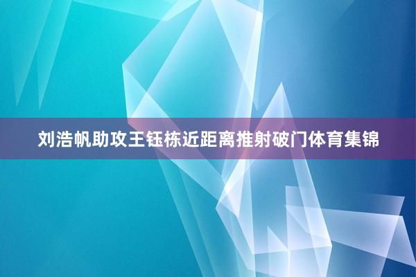 刘浩帆助攻王钰栋近距离推射破门体育集锦