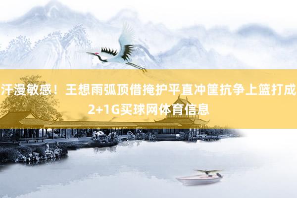汗漫敏感！王想雨弧顶借掩护平直冲筐抗争上篮打成2+1G买球网体育信息