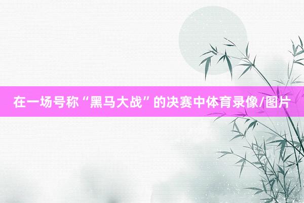 在一场号称“黑马大战”的决赛中体育录像/图片