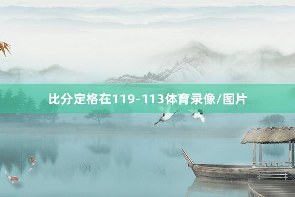 比分定格在119-113体育录像/图片