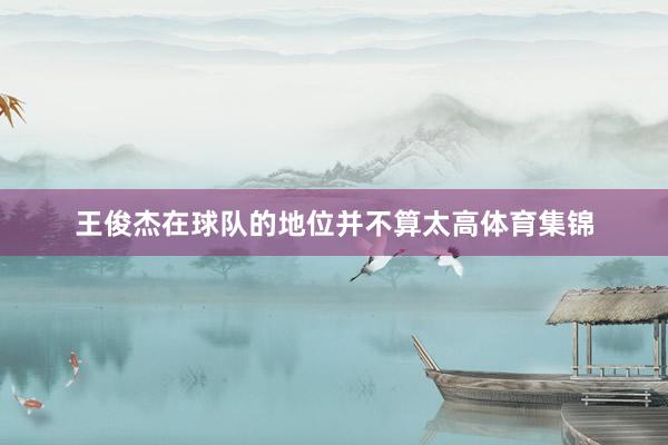 王俊杰在球队的地位并不算太高体育集锦