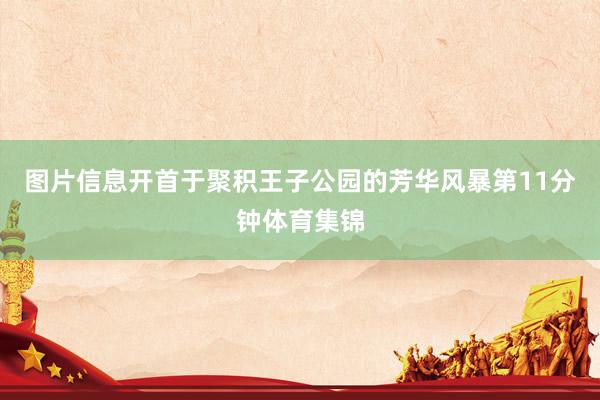 图片信息开首于聚积王子公园的芳华风暴第11分钟体育集锦