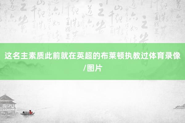 这名主素质此前就在英超的布莱顿执教过体育录像/图片