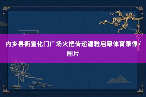 内乡县衙宣化门广场火把传递温雅启幕体育录像/图片