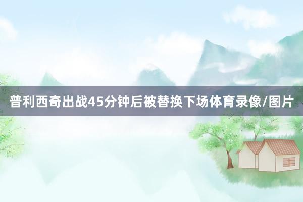 普利西奇出战45分钟后被替换下场体育录像/图片