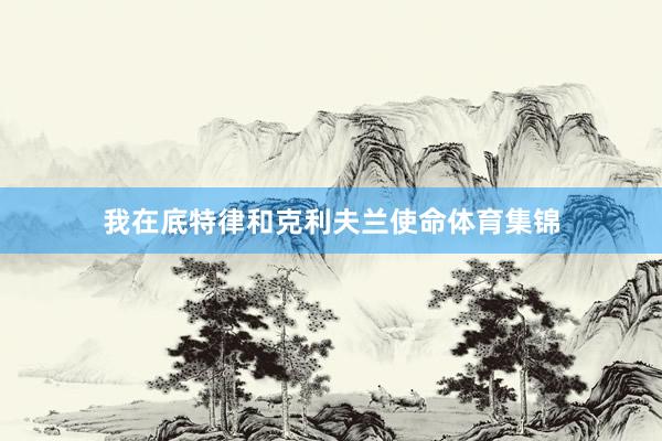 我在底特律和克利夫兰使命体育集锦